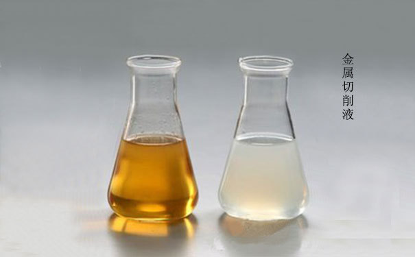 cd5623b694027db929a5a0fd7eb1c47f.jpg 10449179231_1325329263.jpg